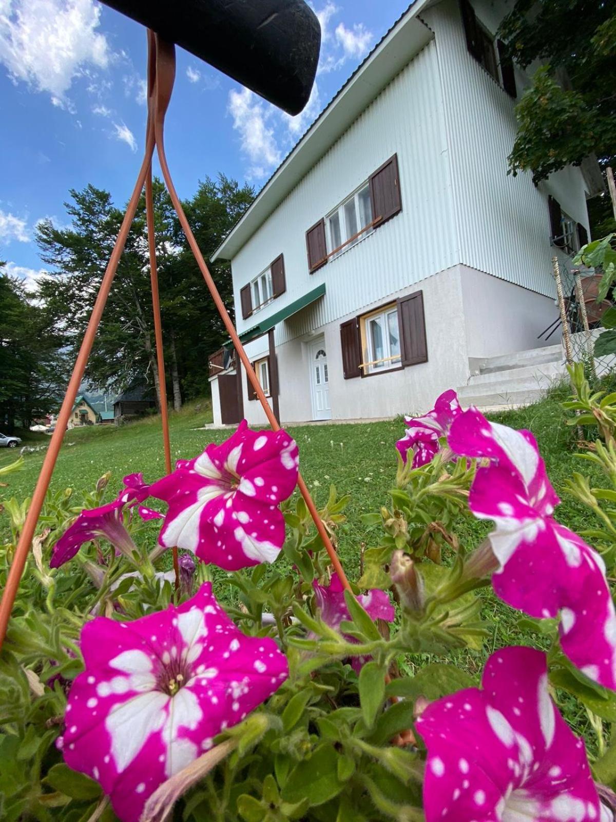 Apartments Marta Žabljak Exteriör bild